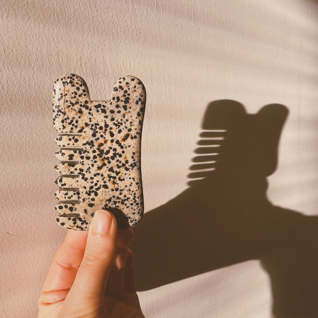 Hand holding Akasha blends Dalmatian Jasper comb with shadows