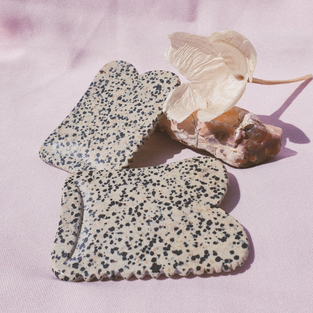 Two Dalmatian Jasper Guasha boards laying on a dry flower with shells and pink background