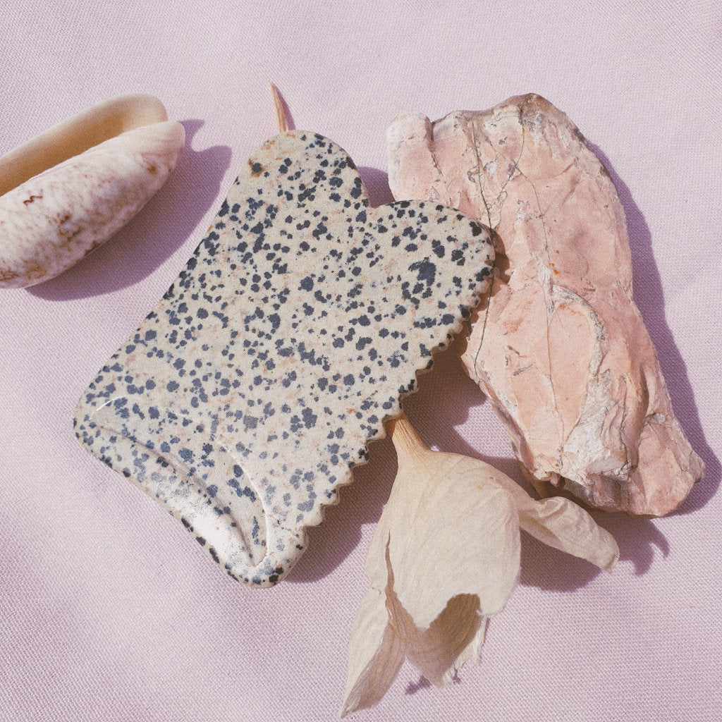 One Dalmatian Jasper Guasha board laying on a dry flower with shells and pink background